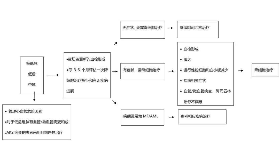 原发性血小板增多症怎么治？