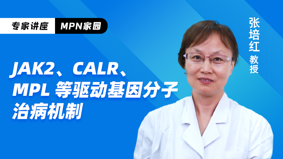 JAK2、CALR、MPL 等驱动基因分子治病机制.jpg