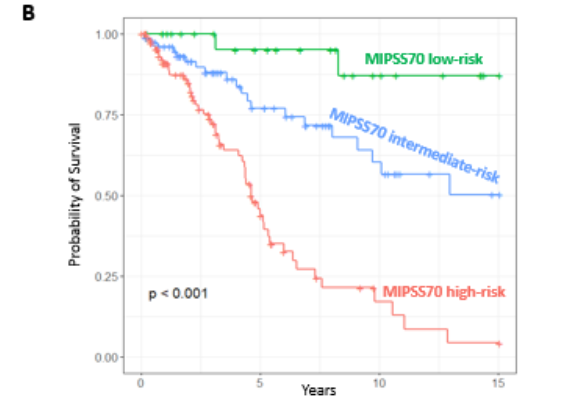 【2022 EHA速递】多项骨髓纤维化相关研究成果更新！