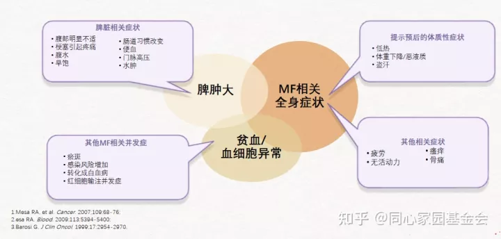专家讲座 - 吴洁教授解析中医治疗骨髓纤维化（MF）对策（上）