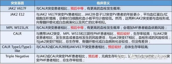 关于MPN的经典突变，看WHO、NCCN和中国专家共识怎么说