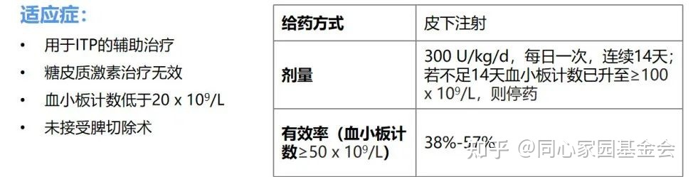 专家讲座 | ITP患者必读，周泽平教授带您解读治疗全方案