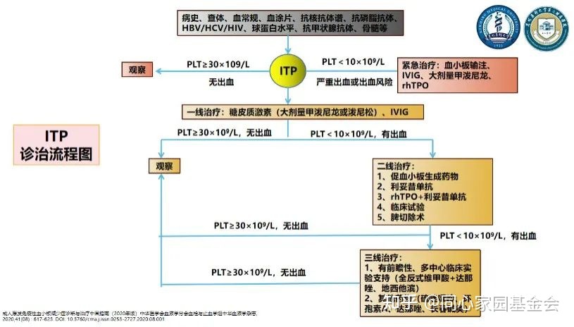 专家讲座 | ITP患者必读，周泽平教授带您解读治疗全方案