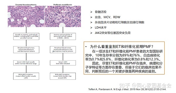专家讲座 | 张磊教授带您了解原发性血小板增多症的诊断与治疗（上）