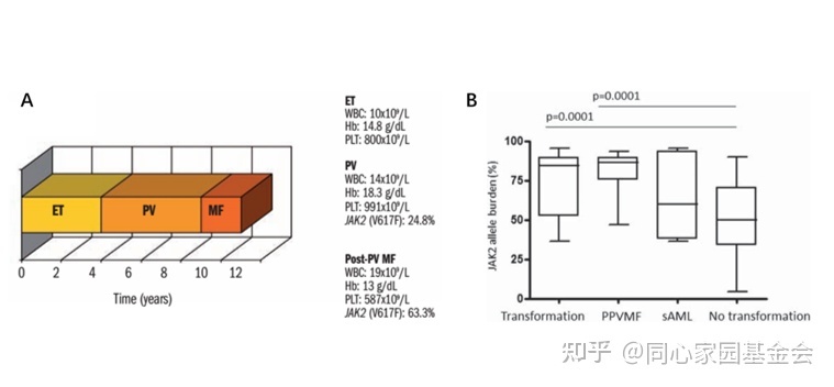 JAK2 V617F基因突变检测