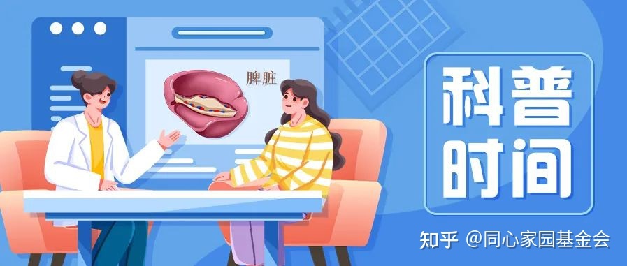 科普时间 | “脾”事儿再多，也怕“诊法”