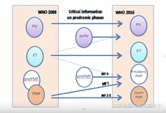 专家讲座｜张培红教授：骨髓增殖性肿瘤（MPN）的病理展望