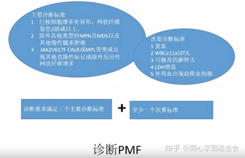 专家讲座｜张培红教授：骨髓增殖性肿瘤（MPN）的病理展望