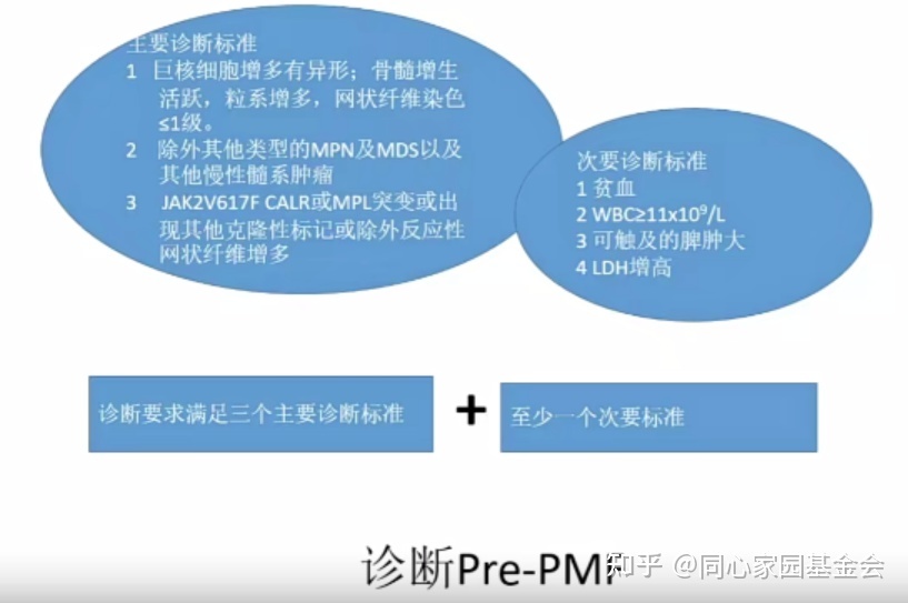 专家讲座｜张培红教授：骨髓增殖性肿瘤（MPN）的病理展望