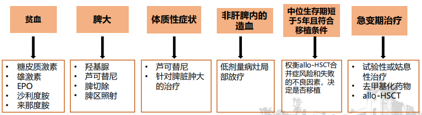 专家讲座丨陈春燕教授：骨髓纤维化（MF）的诊断和治疗