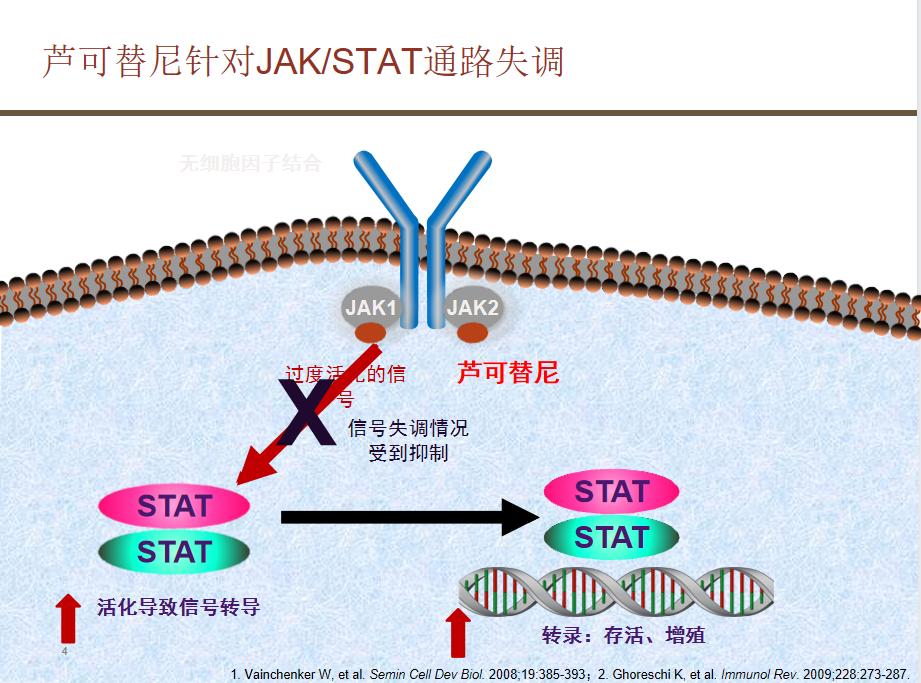 专家讲座丨王椿教授：骨髓纤维化（MF）异基因造血干细胞移植的治疗及预后