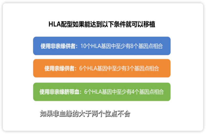 科普时间 | 一文了解造血干细胞移植配型
