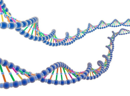 Q&A | 基因突变对MPN究竟有什么意义？