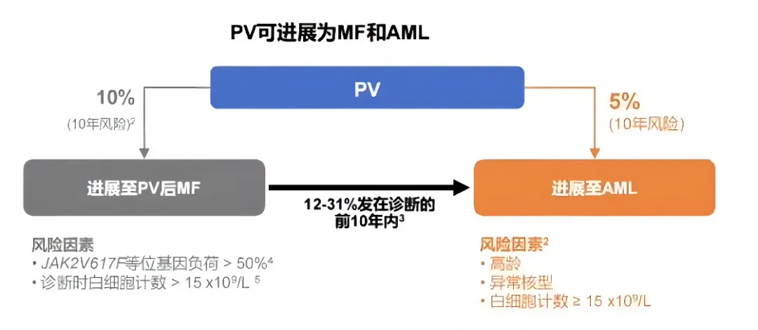 专家讲座｜黄健教授分享真性红细胞增多症诊治进展