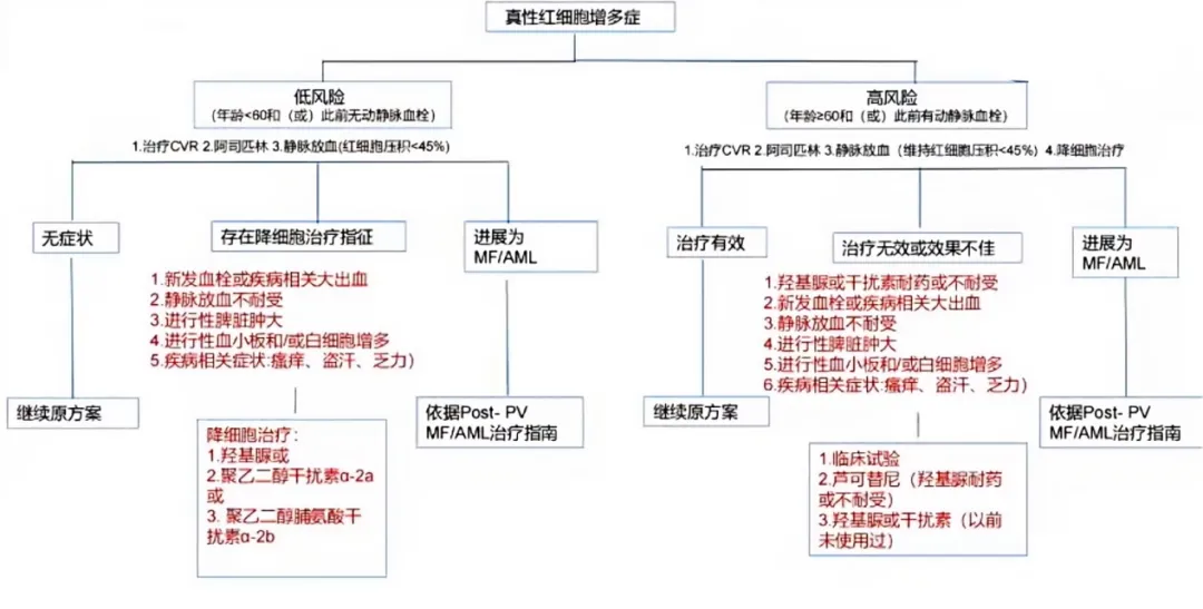 专家讲座｜黄健教授分享真性红细胞增多症诊治进展