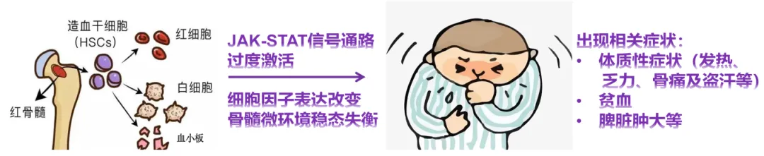 捷力呵护MF大咖谈 | “热”得难受，“汗”如雨下，体重还降了？——小心骨髓纤维化找上门