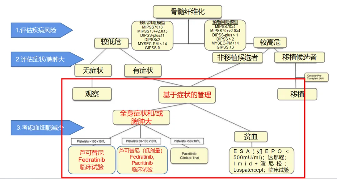 捷力呵护MF大咖谈 | “热”得难受，“汗”如雨下，体重还降了？——小心骨髓纤维化找上门