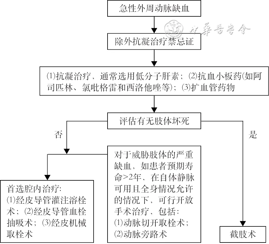 指南共识 | 真性红细胞增多症血栓栓塞综合管理中国专家共识
