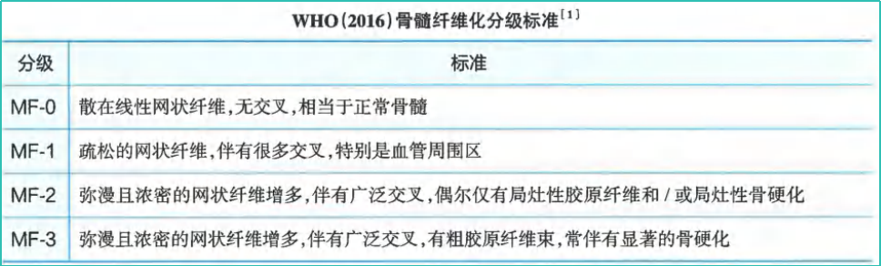 指南共识 | 2024CSCO 原发性骨髓纤维化（MF）诊疗指南