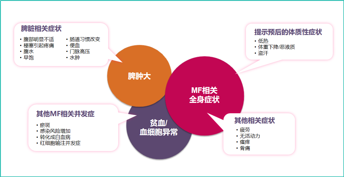 专家讲座｜李冰教授讲骨髓纤维化（MF）的最新诊疗进展